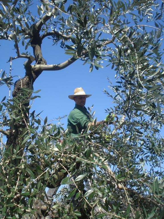 Podere Delle Fanciulle Pistoia Bagian luar foto