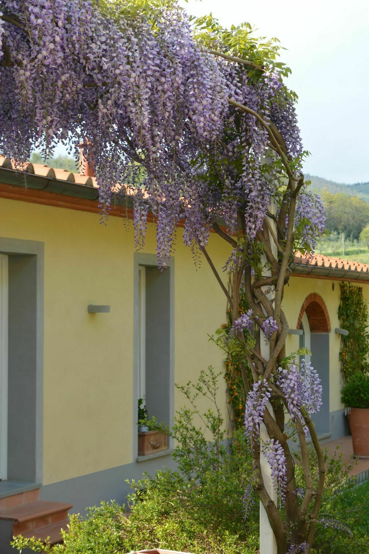 Podere Delle Fanciulle Pistoia Bagian luar foto